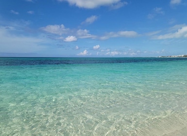 Providenciales : Excursion d’aventure en VTT terrestre et sur la plage