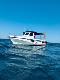 Benalmadena: Private Boat Trip with Drinks & Snacks