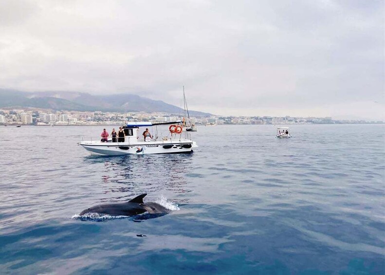 Picture 5 for Activity Benalmadena: Private Boat Trip with Drinks & Snacks