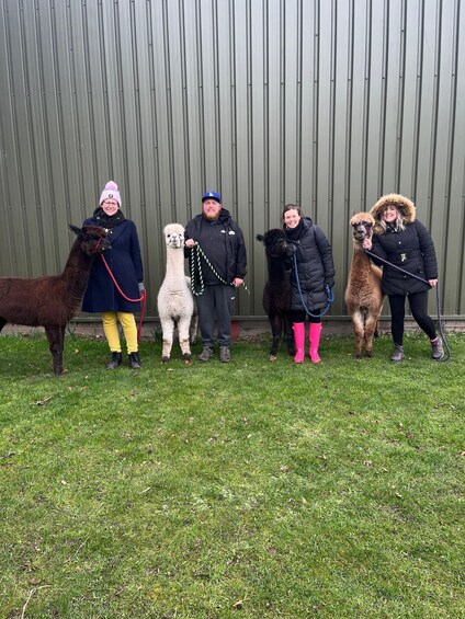 Picture 4 for Activity Loch Ness: Full day private tour with Alpaca Adventure