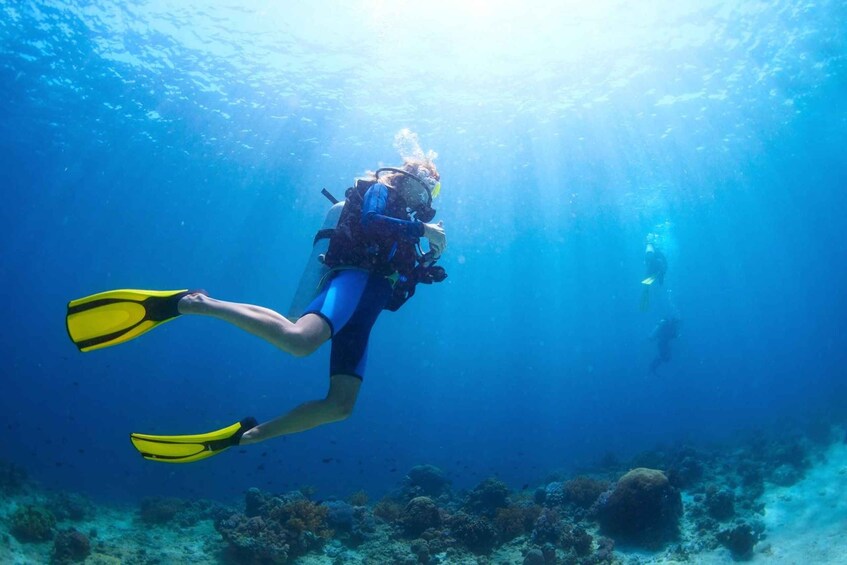 Sharm: Ras Mohamed Diving Boat Trip with Private Transfers