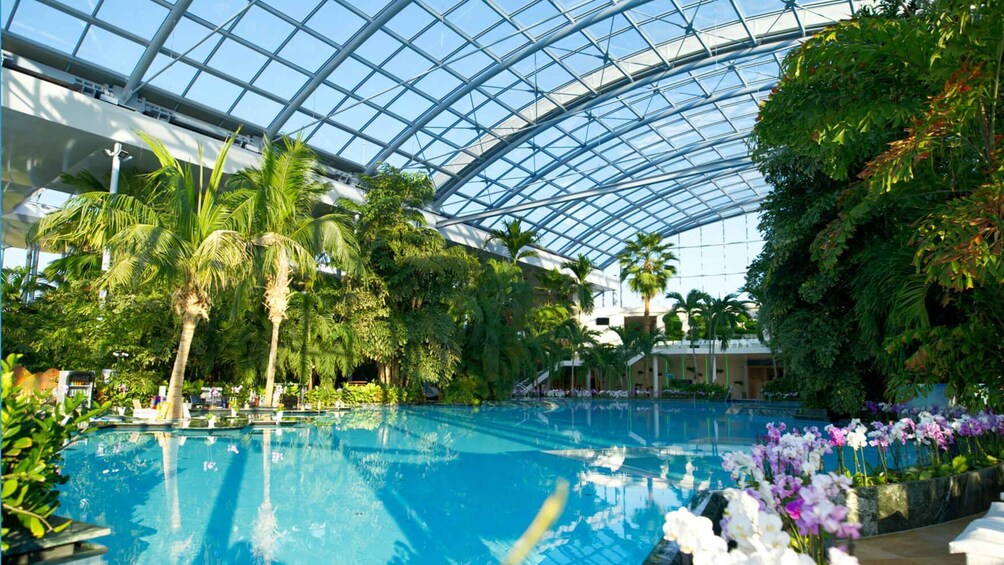 Picture 2 for Activity Bucuresti: Transfer Therme Bucuresti different hours