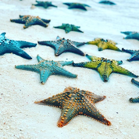 Starfish Adventure, Blue Lagoon, The Rock, Kuza Cave Tour