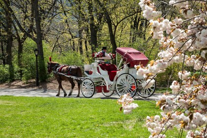 New York City: Horse and Carriage Rides in Central Park