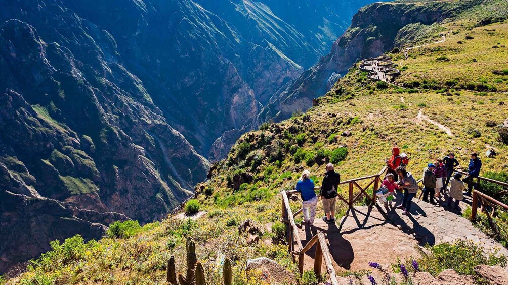 Picture 2 for Activity From Arequipa: Tour to Chivay & Colca Canyon