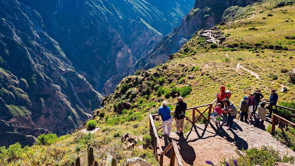 Picture 2 for Activity From Arequipa: Tour to Chivay & Colca Canyon