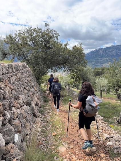 Picture 1 for Activity From Palma: Sierra de Tramuntana Hiking with small Picnic