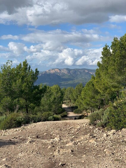 Picture 10 for Activity Sierra de Tramuntana hiking experience