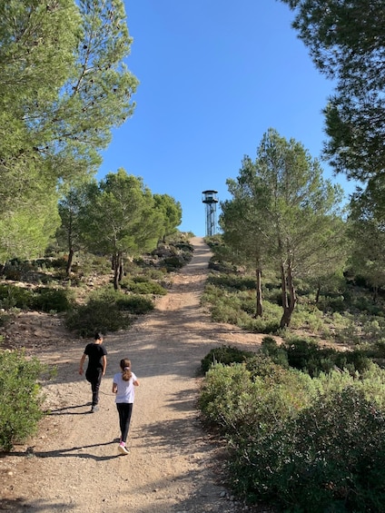 Picture 11 for Activity Sierra de Tramuntana hiking experience