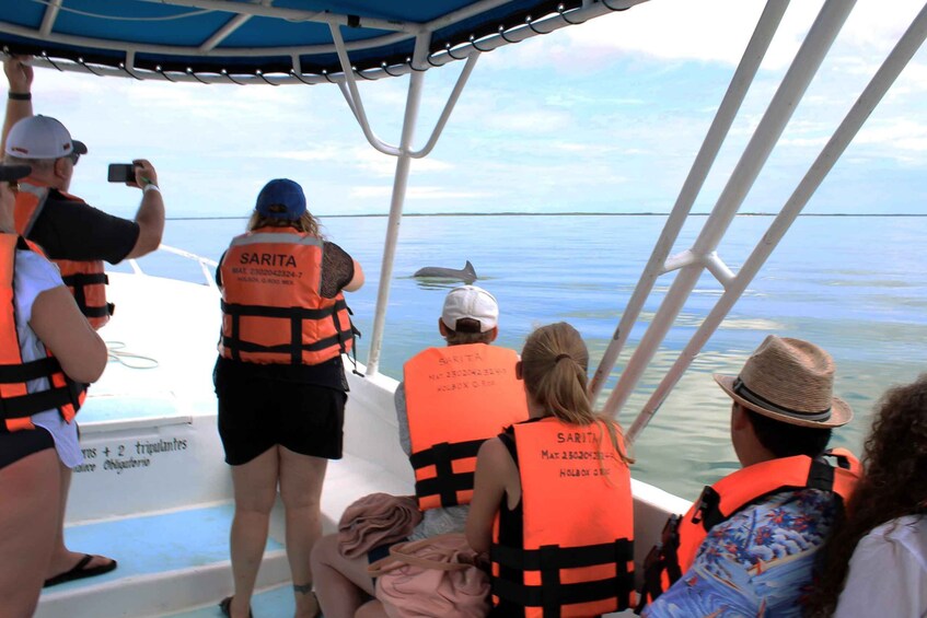 Picture 3 for Activity From Holbox: Speedboat Cruise with Lagoon Swim
