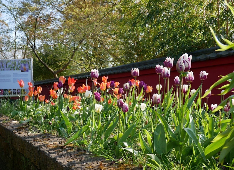 Picture 1 for Activity Leiden: Hortus Botanicus Entry Ticket