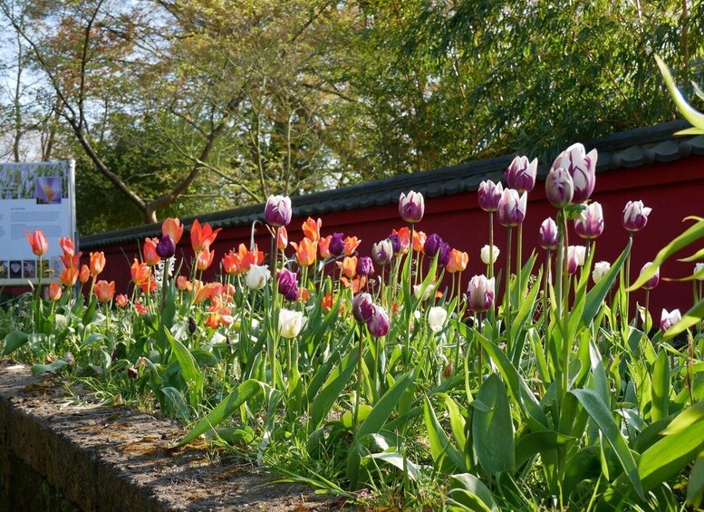 Picture 1 for Activity Leiden: Hortus Botanicus Entry Ticket