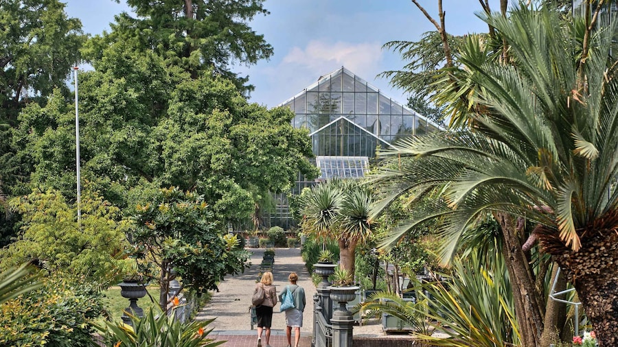 Leiden: Hortus Botanicus Entry Ticket