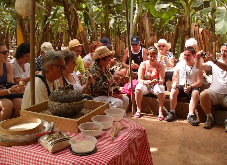 Picture 3 for Activity Tenerife: Finca Las Margaritas Banana Plantation Experience
