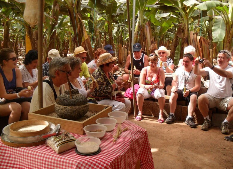 Picture 3 for Activity Tenerife: Finca Las Margaritas Banana Plantation Experience