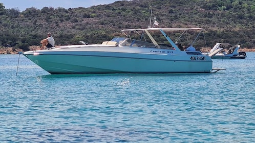 Observación exclusiva de delfines en barco a motor