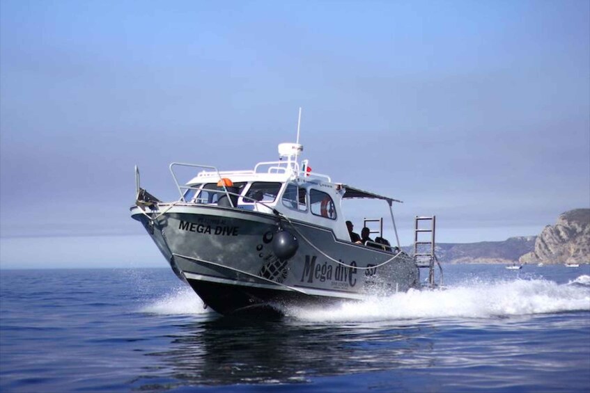 Picture 1 for Activity Sesimbra: Sunset Boat Tour