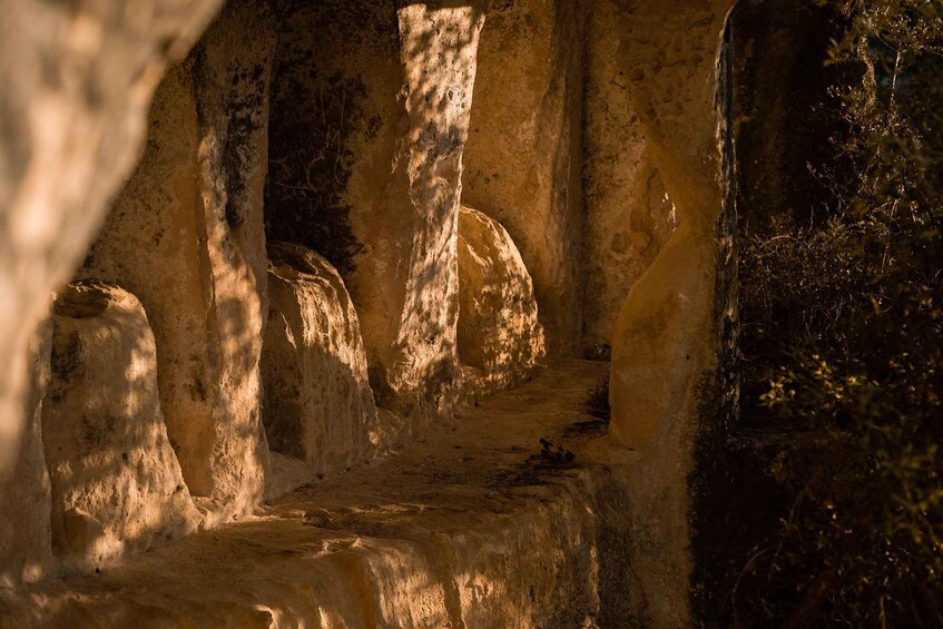 Picture 4 for Activity Matera: hike on the path of rock churches