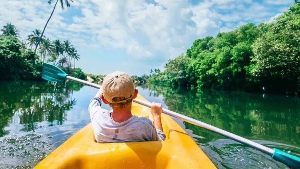 Picture 3 for Activity From Colombo: Bentota Day Tour and Hikkaduwa Beach Tour