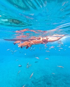 São Pedro Snorkel and Swim with Sea Turtles