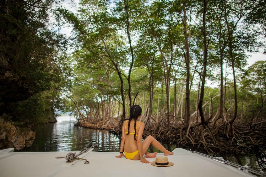 Picture 2 for Activity Los Haitises: Caves, Mangroves, & Rainforest Hike/Boat Tour