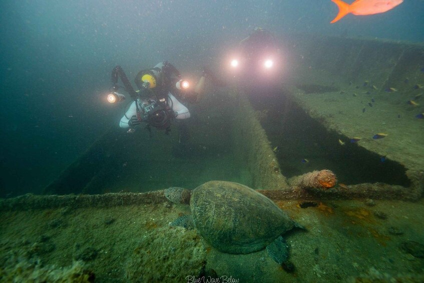 Picture 1 for Activity La Paz: Shipwreck Diving Experience