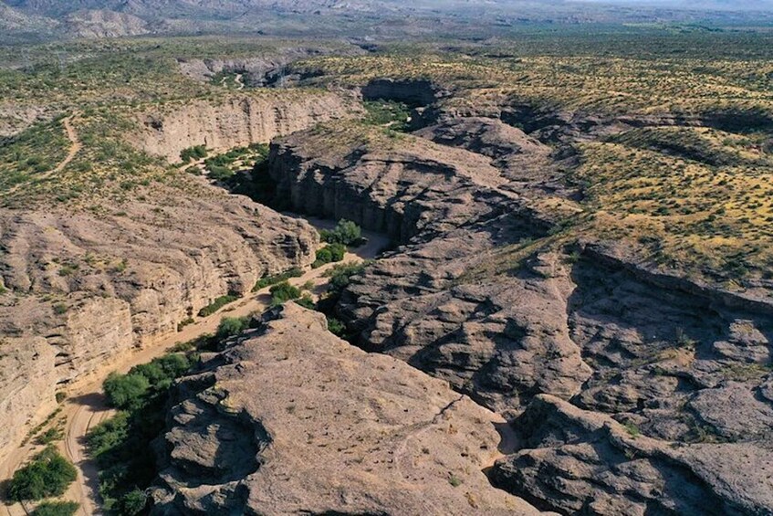 Picture 3 for Activity From Scottsdale: Sonoran Desert & Tonto National Forest Trip