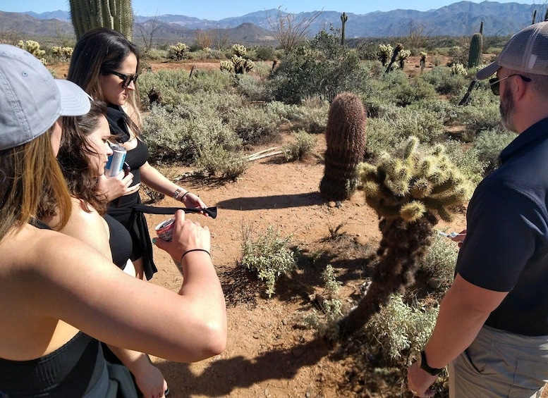 Picture 5 for Activity From Scottsdale: Sonoran Desert & Tonto National Forest Trip