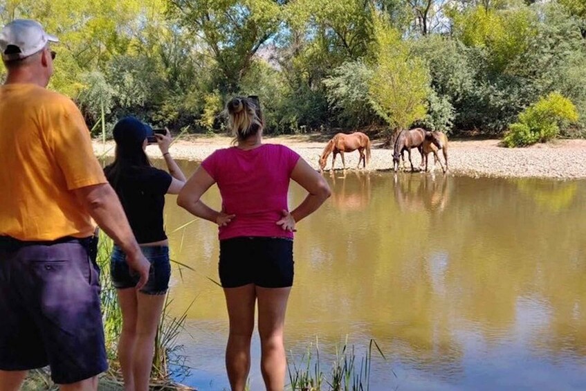 Picture 1 for Activity From Scottsdale: Sonoran Desert & Tonto National Forest Trip