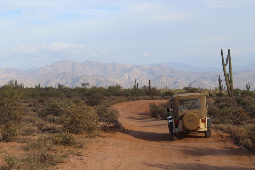 Picture 4 for Activity From Scottsdale: Sonoran Desert & Tonto National Forest Trip