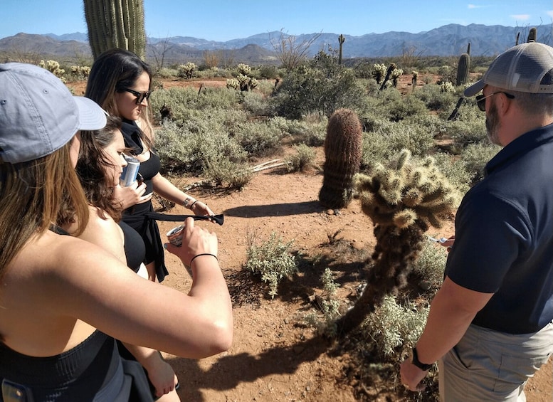 Picture 5 for Activity From Scottsdale: Sonoran Desert & Tonto National Forest Trip