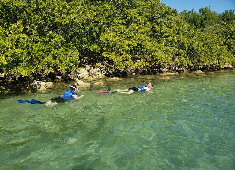 Picture 4 for Activity Miami: Beginner-Friendly Island Snorkeling by SUP or Kayak