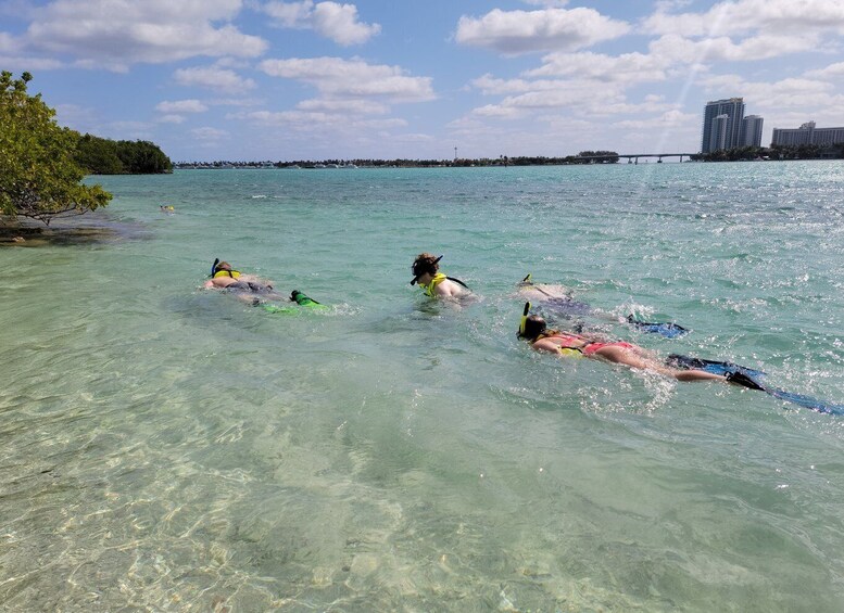 Miami: Beginner-Friendly Island Snorkeling by SUP or Kayak