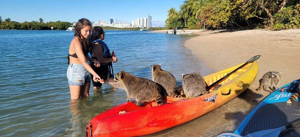 Picture 5 for Activity Miami: Beginner-Friendly Island Snorkeling by SUP or Kayak