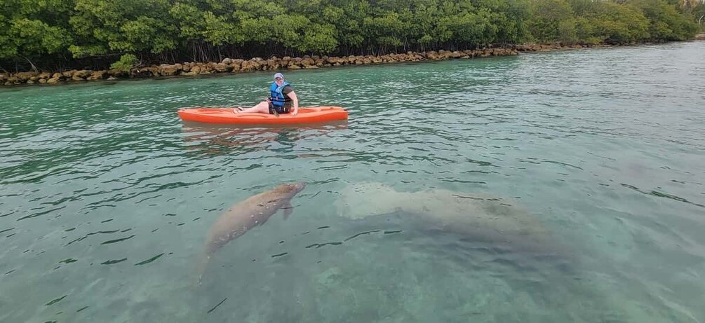 Picture 7 for Activity Miami: Beginner-Friendly Island Snorkeling by SUP or Kayak