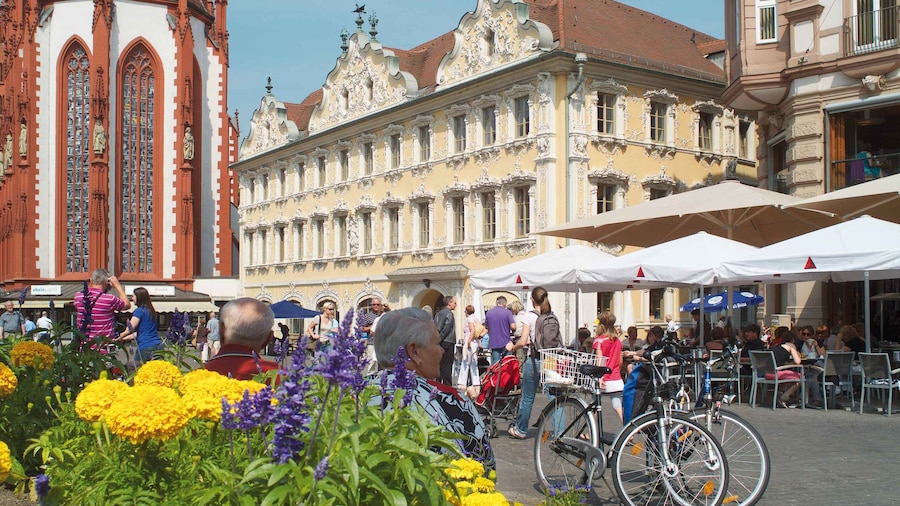 Würzburg: Guided Walking Tour with Franconian Wine
