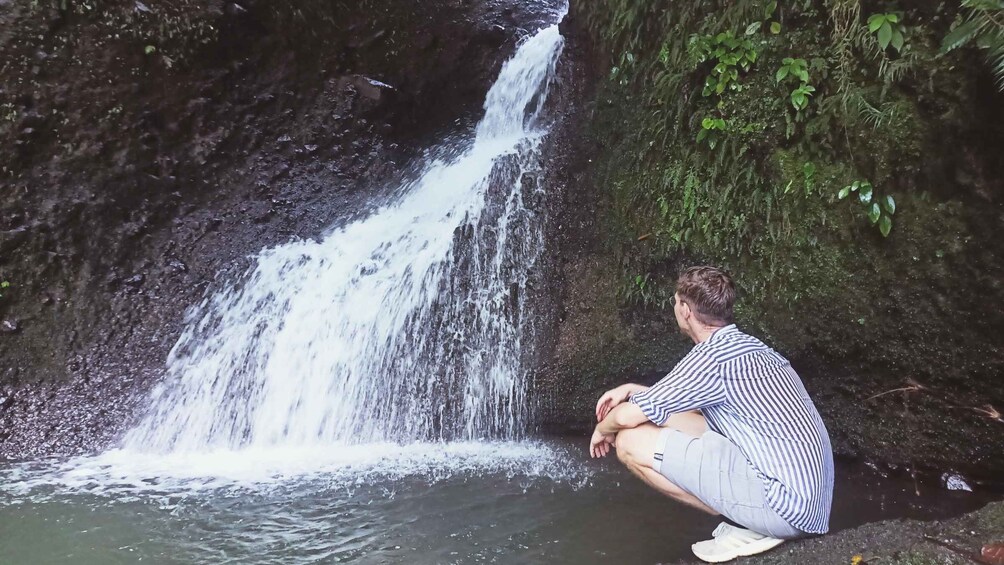 Picture 17 for Activity Lombok Tour: Rice Terrace, Waterfalls & Monkey Forest