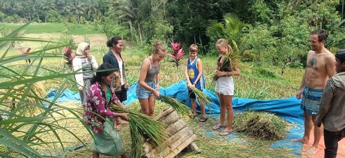 Lombok Tour: Explore nature and culture arround lombok