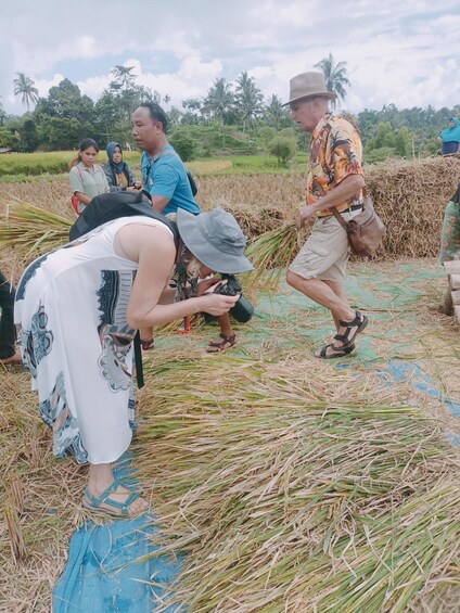 Picture 22 for Activity Lombok Tour: Explore nature and culture arround lombok