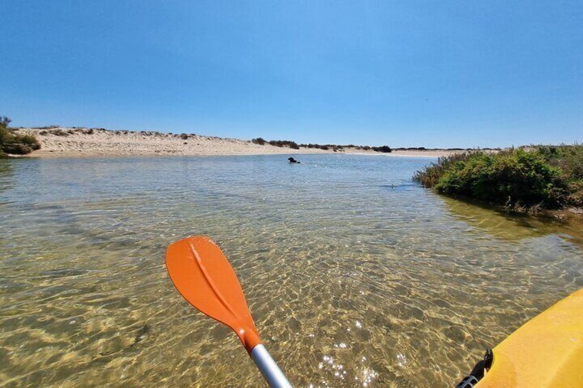Kayak Rental in Praia dos Cavacos