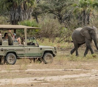 2 Day Zanzibar to Nyerere NP (Selous GR) By Flight