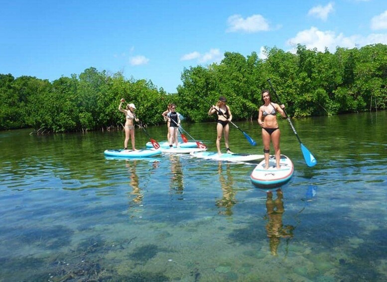 Picture 1 for Activity Guadeloupe: Stand-Up Paddleboarding Tour from Petit Canal
