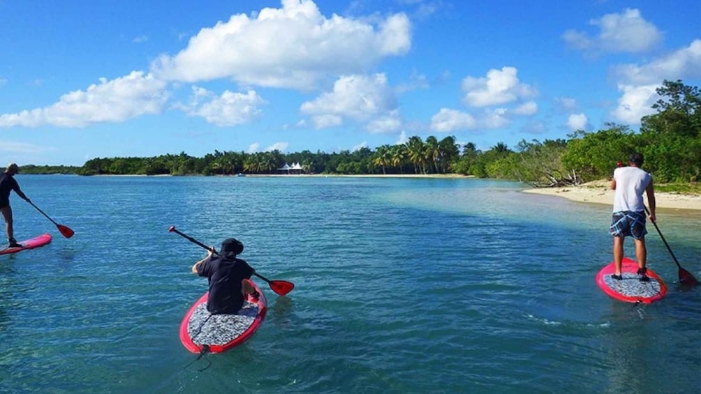 Picture 3 for Activity Guadeloupe: Stand-Up Paddleboarding Tour from Petit Canal