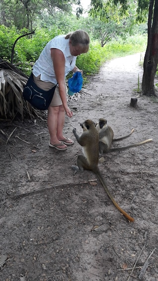 Picture 1 for Activity Banjul: 7 Attractions Day Tour with Monkey Park