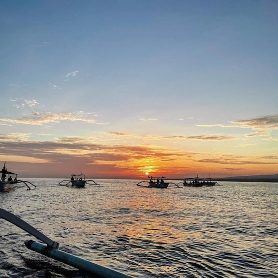 Picture 6 for Activity North Bali ; Lovina Sunrise Watching Dolphin