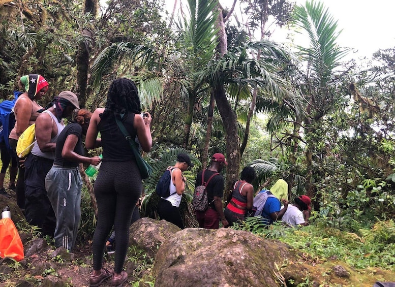 Picture 1 for Activity St. Kitts Mount Liamuiga Volcano Hike