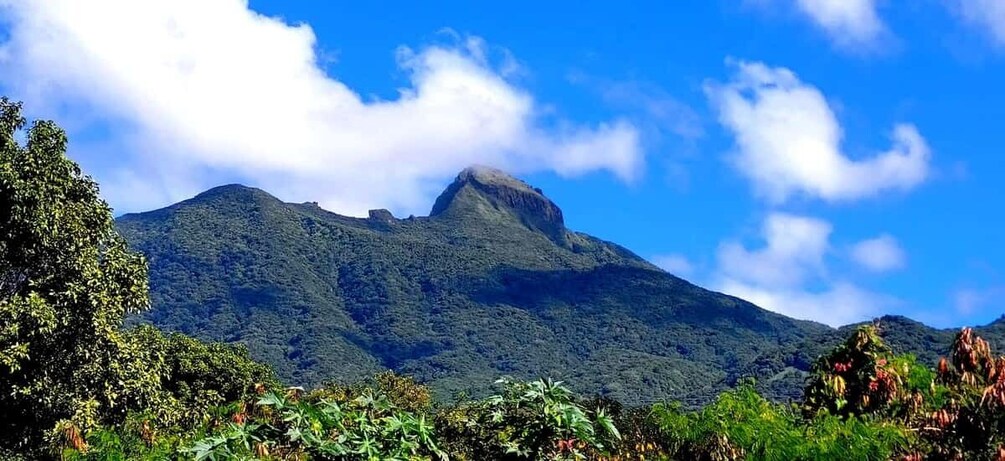 Picture 4 for Activity St. Kitts Mount Liamuiga Volcano Hike