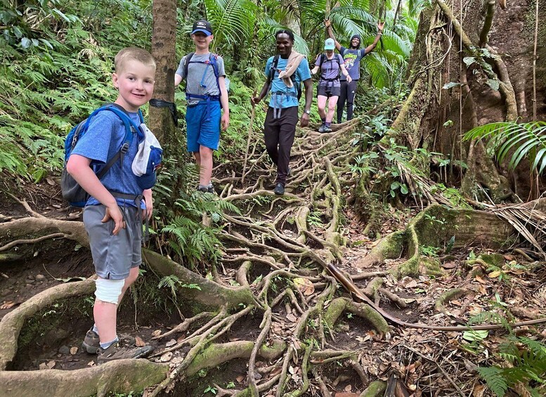 Picture 8 for Activity St. Kitts Mount Liamuiga Volcano Hike