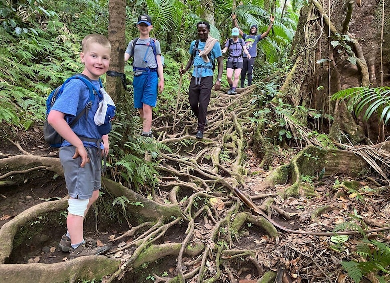 Picture 8 for Activity St. Kitts Mount Liamuiga Volcano Hike