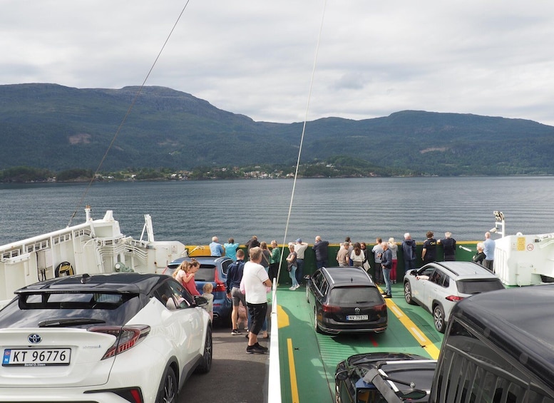 Picture 3 for Activity Guided tour to Hardanger Fjord, Waterfalls, Ferry Crossing